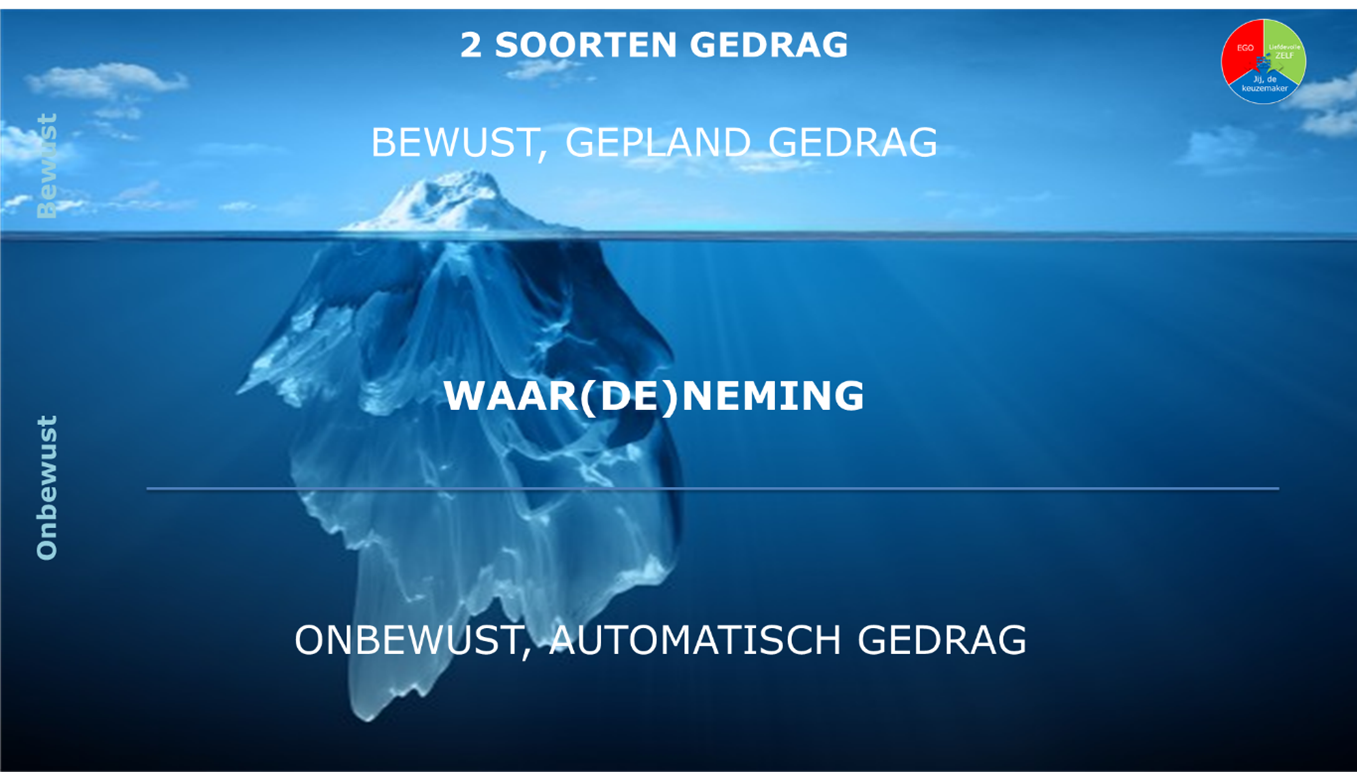 Featured image for “De poortwachters van gedrag”